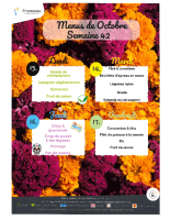 Lundi 13 au vendredi 17 octobre
